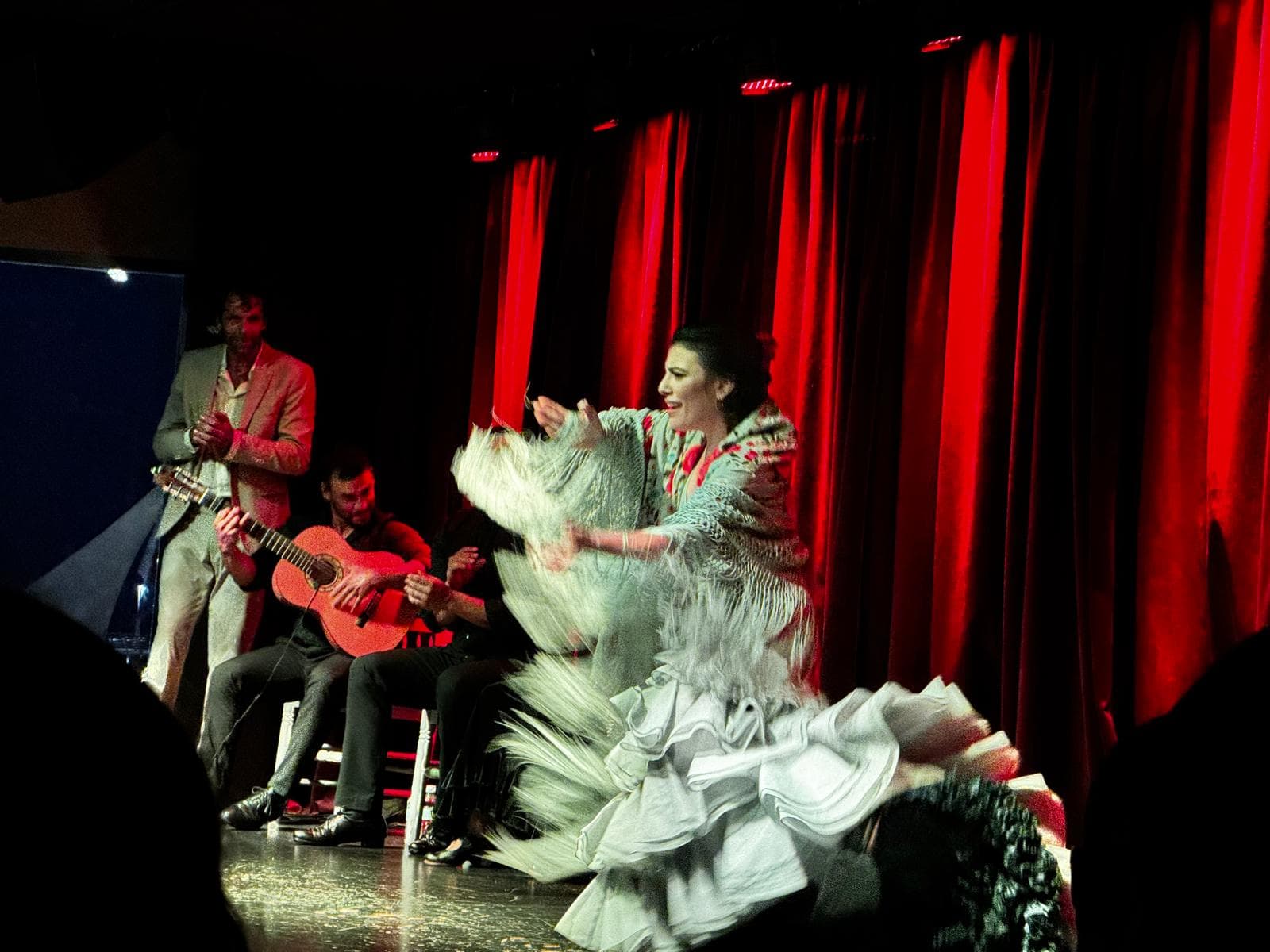 Castillo de Santa Barbara y espectáculo Flamenco