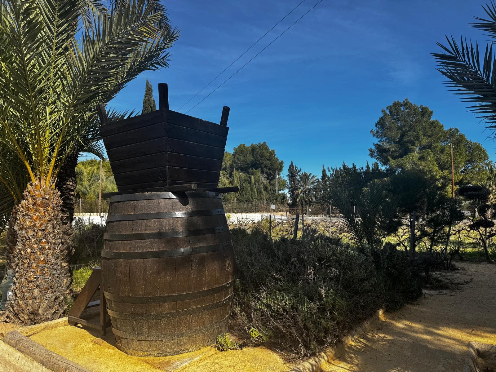 Visita a bodegas locales