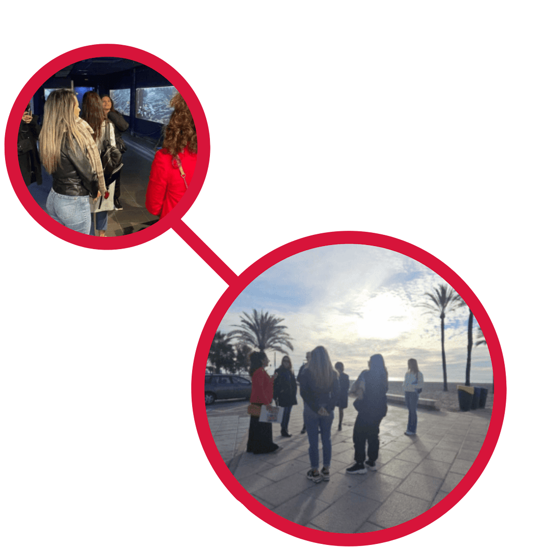 Visita Faro de Santa Pola y pueblo en Van
